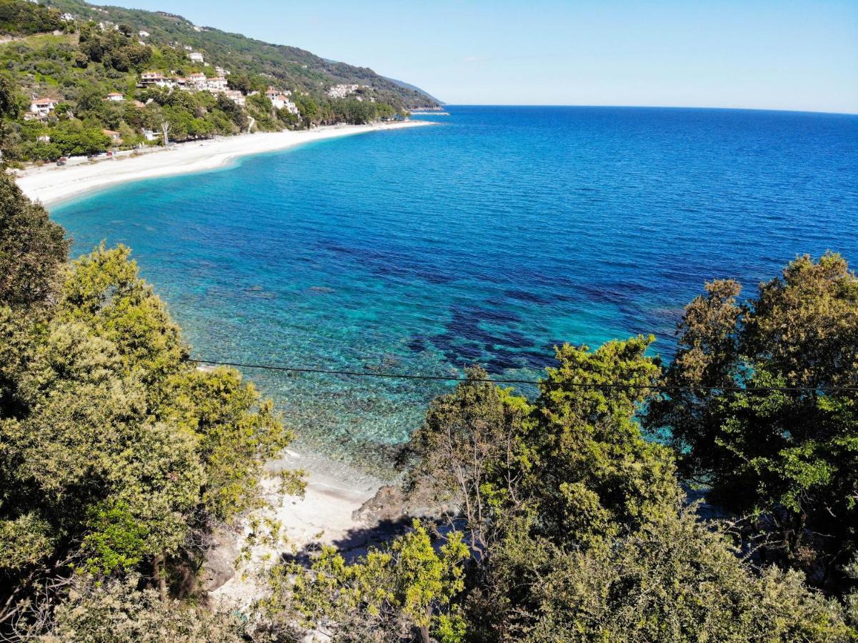 Pelion Bnb Luxury Homes Damúhari Kültér fotó