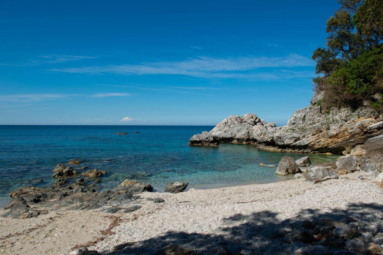 Pelion Bnb Luxury Homes Damúhari Kültér fotó
