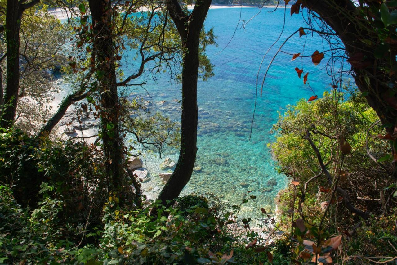 Pelion Bnb Luxury Homes Damúhari Kültér fotó