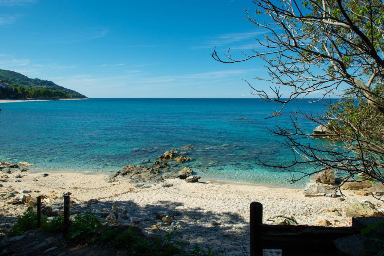 Pelion Bnb Luxury Homes Damúhari Kültér fotó